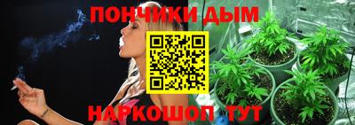 МДПВ Сланцы