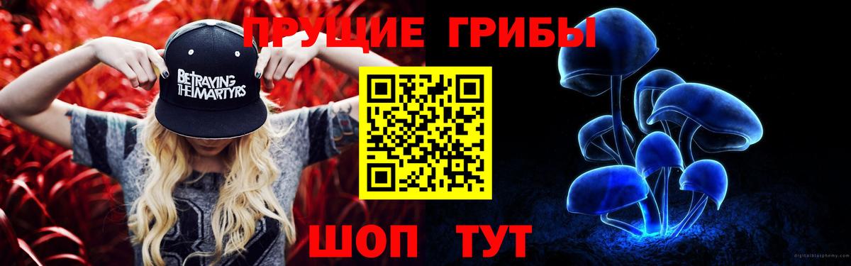 Псилоцибиновые грибы прущие грибы  Вход с VPN  как найти наркотики  Новоуральск  Псилоцибиновые грибы ЛСД 